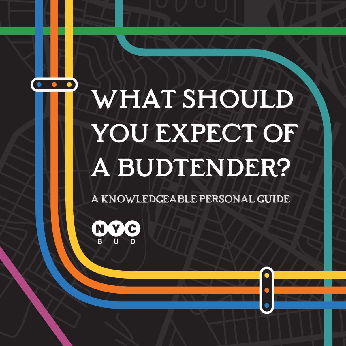 What You Should Expect of a Budtender?