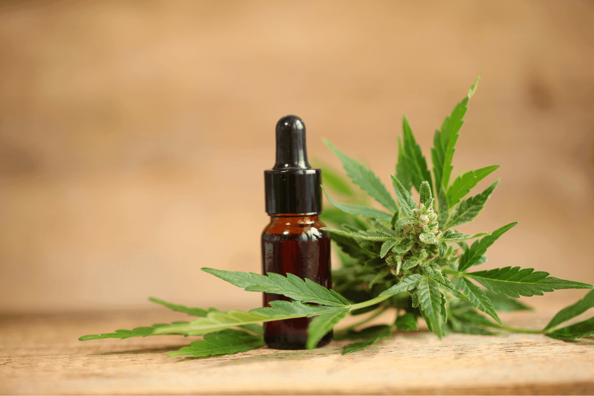 What LIC Residents Should Know Before Ordering Weed Delivery