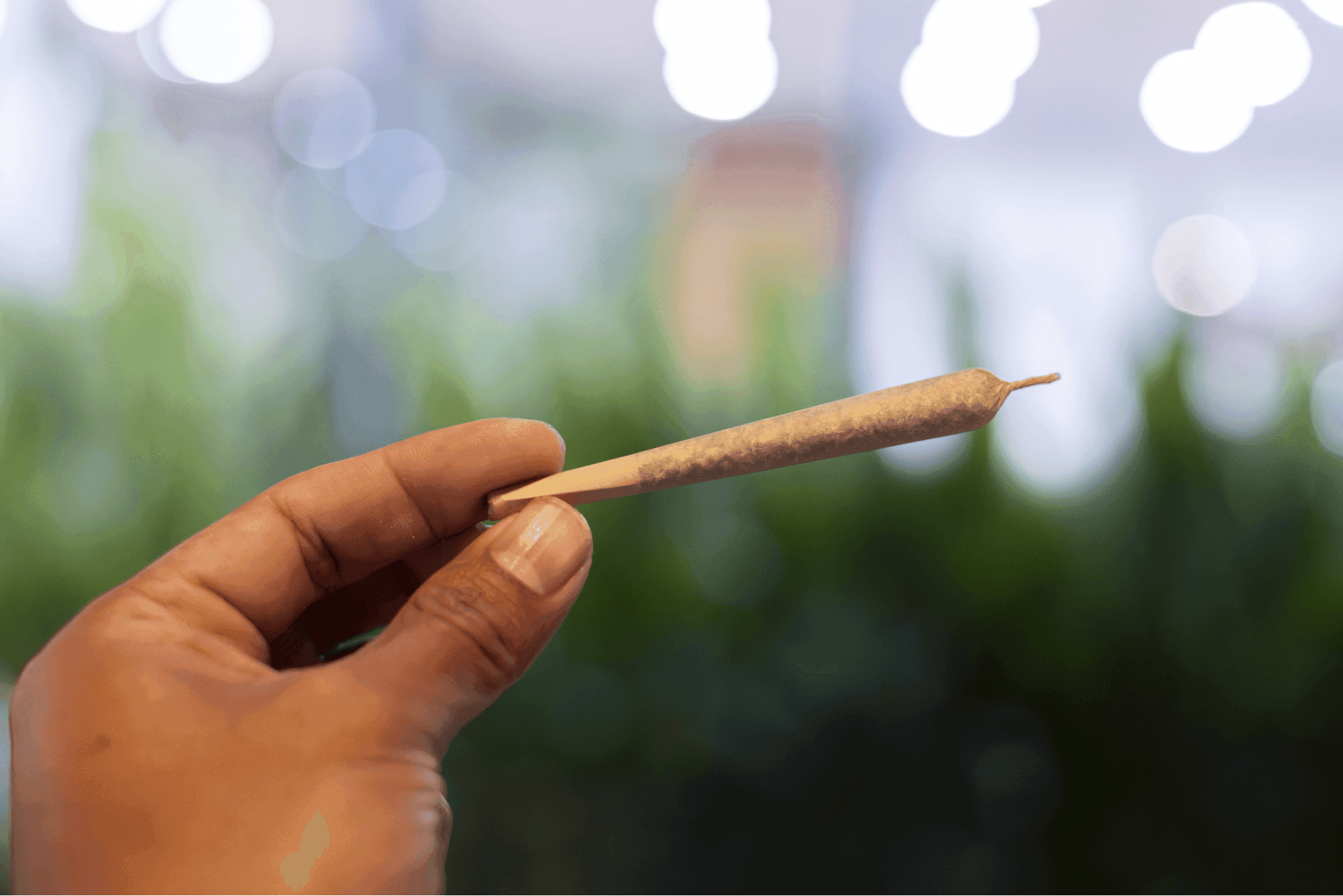 Looking for Pre-Rolls in Manhattan? Here Are the Best Options Right Now 