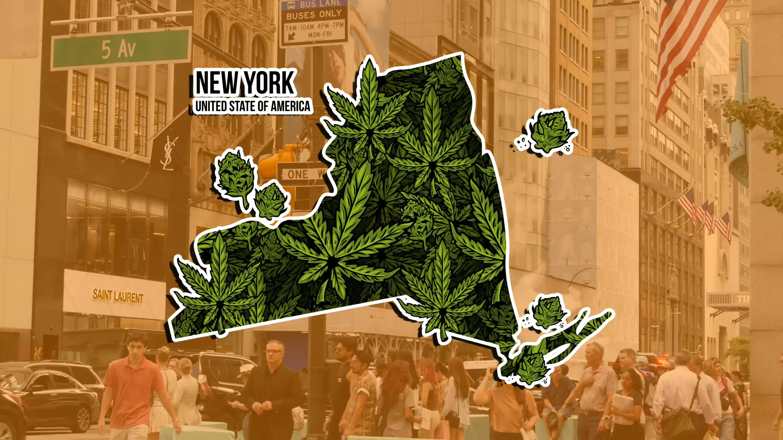NYC Leads the World in Cannabis Consumption – Experience the Best at NYCBUD