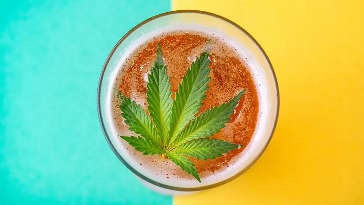 Exploring Cannabis-Infused Beverages: A Modern Alternative to Alcohol
