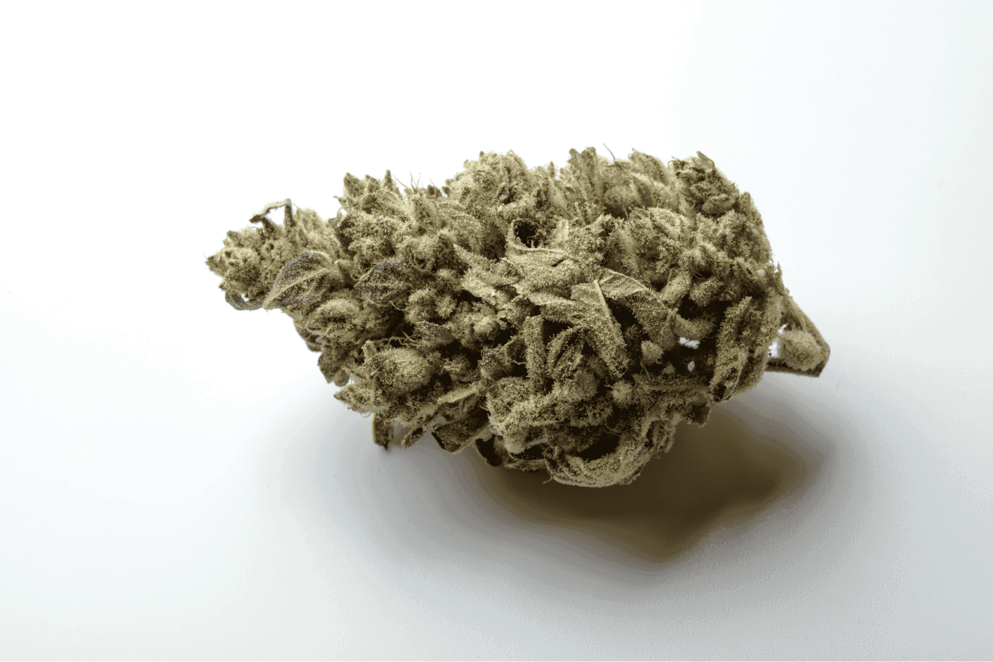 Blue Dream Effects Type and How to Get It in Manhattan NYC